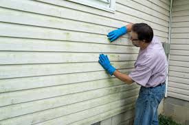 Best Vinyl Siding Installation  in Elmwood, IL